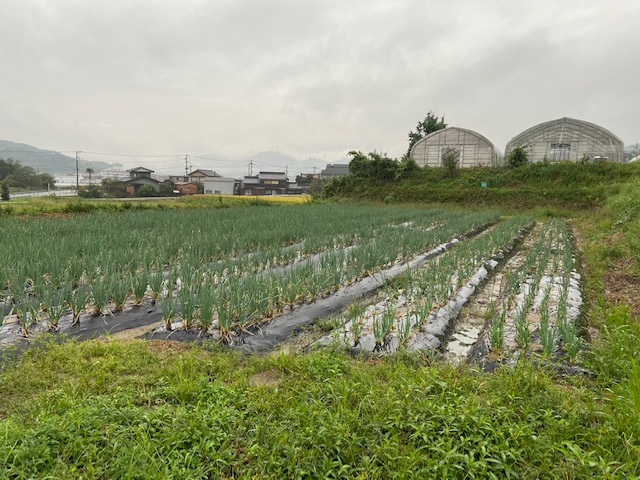 こころ農園　長峯下圃場