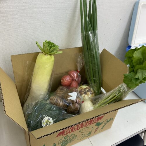 野菜の箱詰め